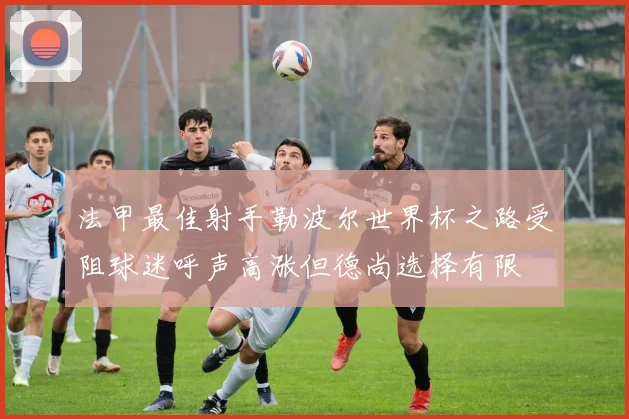法甲最佳射手勒波尔世界杯之路受阻球迷呼声高涨但德尚选择有限