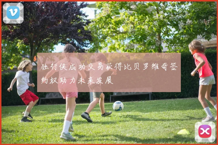 独行侠成功交易获得比贝罗维奇签约权助力未来发展